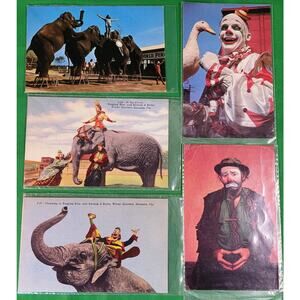 Lot 5 Circus Color Postcards Clowns Elephants Ringling Brothers